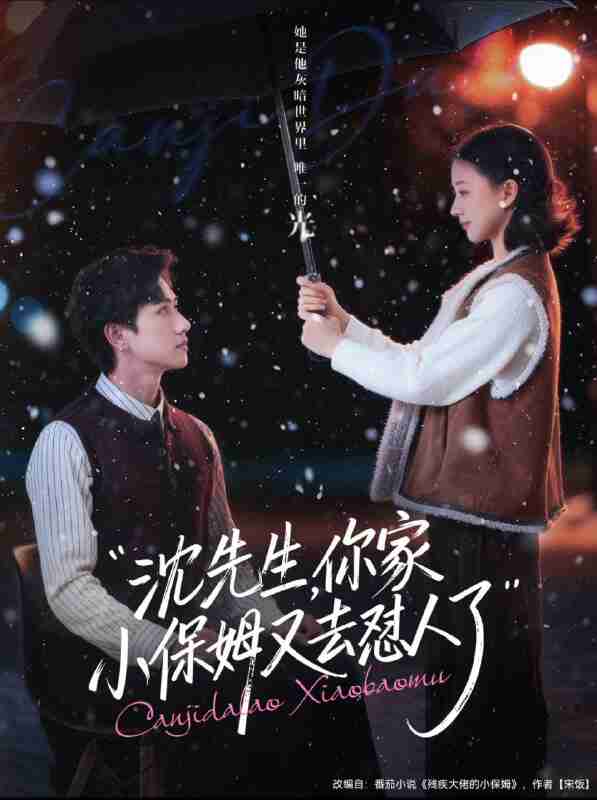 【短剧】沈先生，你家小保姆又去怼人了（82集全集）陈政阳＆廖银玥