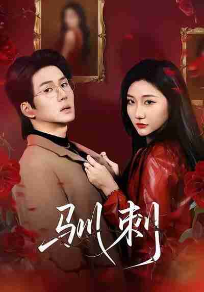 【短剧】驯刺(82集全集)刘静阳&向明