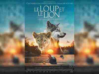 【电影】 狼与狮子(2021)