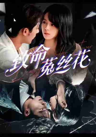 【短剧】致命菟丝花（66集全集）车超炎＆王英杰
