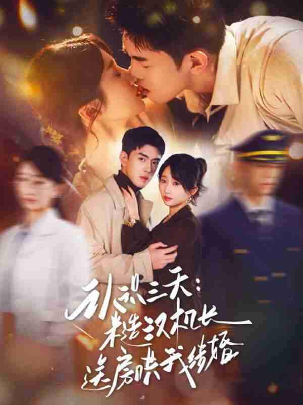 【短剧】认识三天糙汉机长送房哄我结婚（71集全集）王天昊&田欣雅