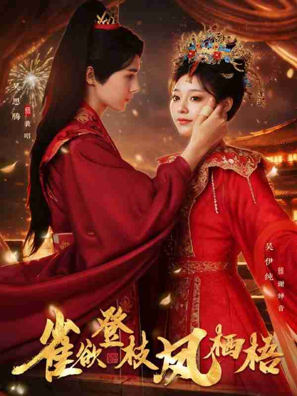 【短剧】雀欲登枝凤栖梧（81集全集）吴思腾&吴伊纯