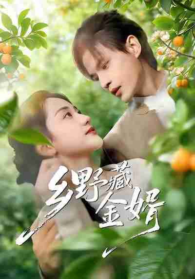 【短剧】乡野藏金婿（50集全集）冯琳玲＆吴杰