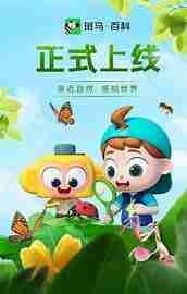 斑马百科知识大合集,儿童通识启蒙首选,涵盖科学历史艺术等多领域