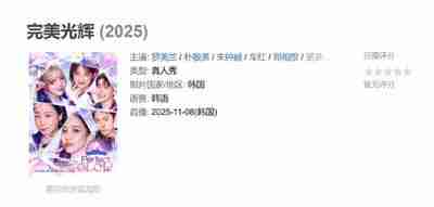 完美光辉 (2025)