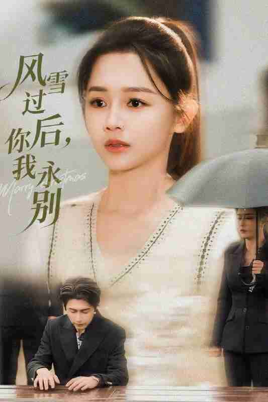 【短剧】风雪过后你我永别(51集全集)王禹润&郑湘敏