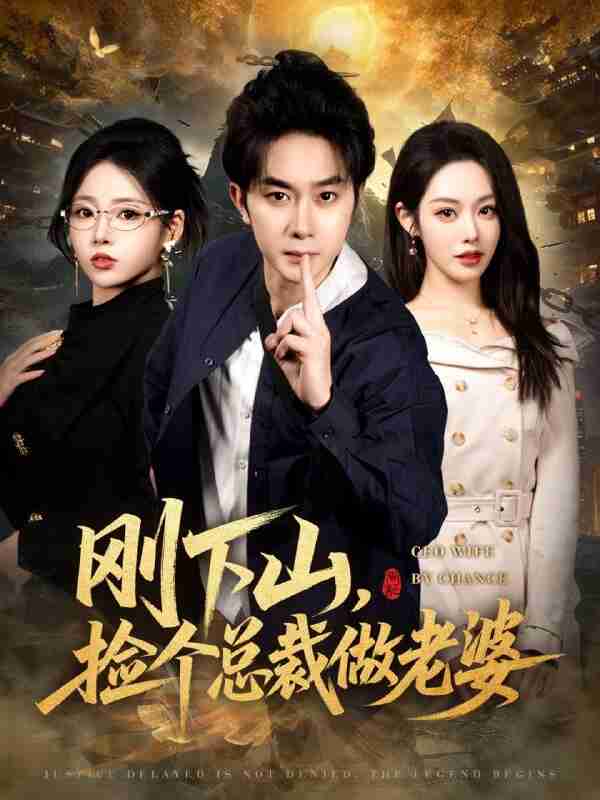 【短剧】刚下山捡个总裁做老婆（80集全集）杨皓竣&胡继月&李奕璇