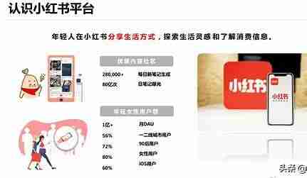 小红书引流模版揭秘，一张图片轻松吸引上百精准创业粉