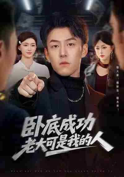 【短剧】卧底成功老大可是我的人（99集全集）梁超＆涂鑫艺