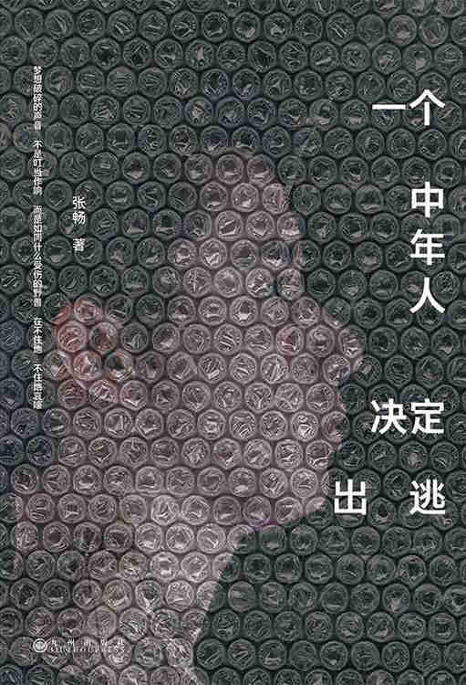 一个中年人决定出逃 [人文社科] [pdf+全格式]