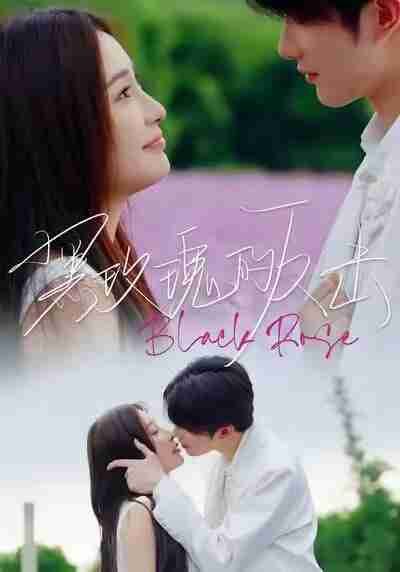 【短剧】黑玫瑰的反击（47集全集）裘哲夫＆焦娇