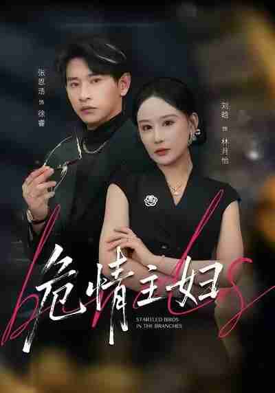 【短剧】危情主妇（60集全集）刘晗&张恩浩&邱潇