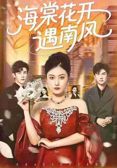 【短剧】海棠花开遇南风（50集全集）杨家乐＆陈益楠