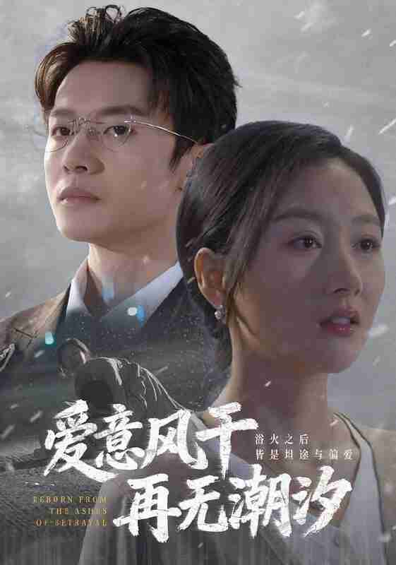 【短剧】爱意风干再无潮汐（69集全集）程汁&魏梦迪&蔡长源