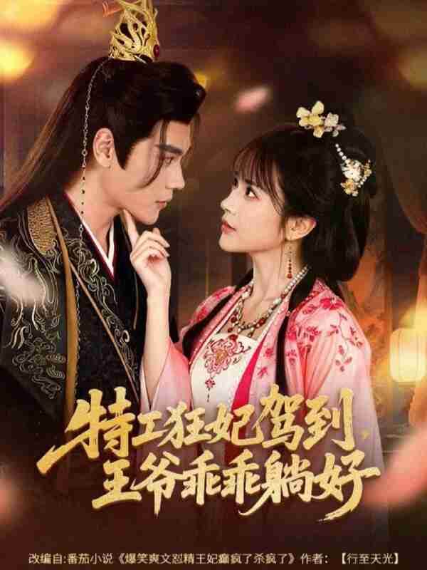 【短剧】特工狂妃驾到，王爷乖乖躺好（60集全集）赵垣又＆文晴