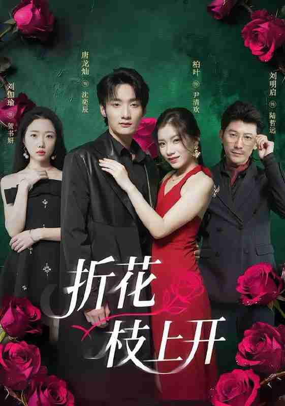 【短剧】折花枝上开（51集全集）唐龙灿＆柏叶