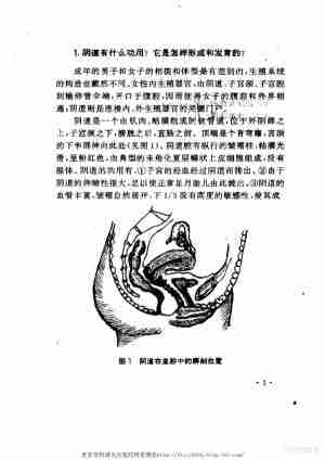 6973abf5684a2.jpg (300×424)