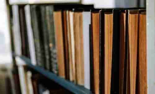 69745b4f2ded8.jpg (500×305)