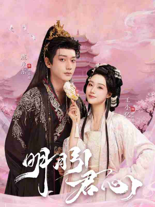 【短剧】明月引君心（74集全集）鹿单东＆王小亿