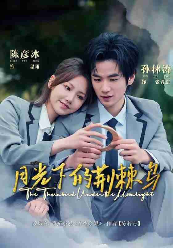 【短剧】月光下的荆棘鸟(80集全集)陈彦冰&孙林涛