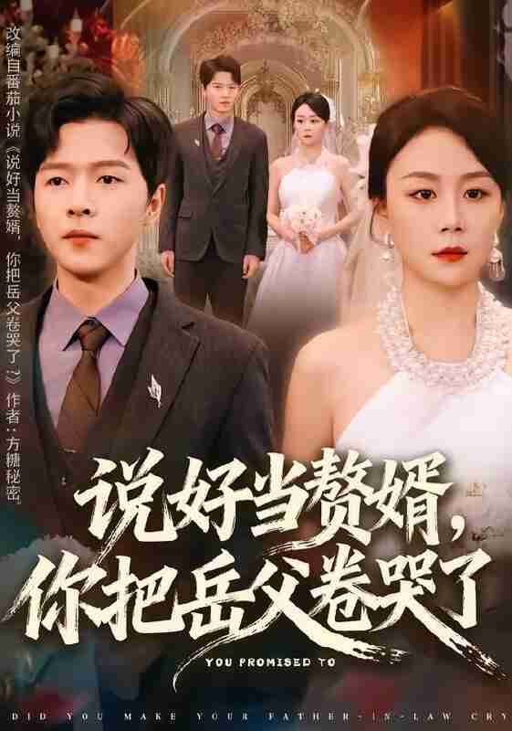 【短剧】说好当赘婿，你把岳父卷哭了（80集全集）吴雨濛&陈熙楠