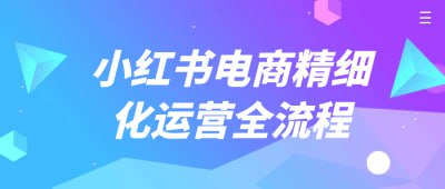 小红书电商精细化运营全流程[免费在线观看][夸克网盘]