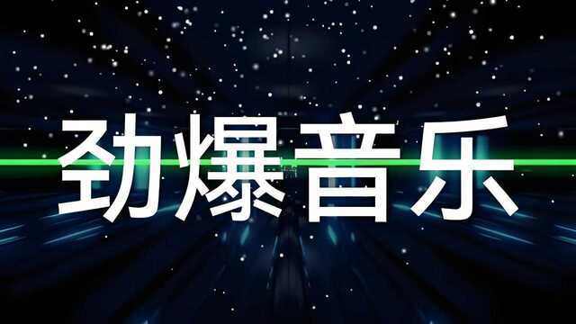 抖音热门华语劲爆车载DJ歌曲合集[免费在线观看][夸克网盘]