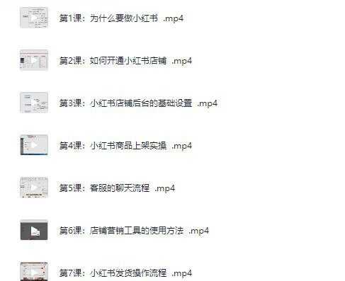 《小红书电商运营·从入门到精髓》价值两千多[mp4][免费在线观看][夸克网盘]