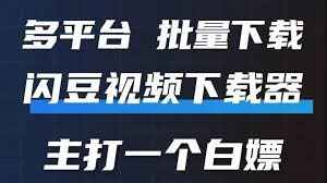 闪豆视频下载器 v4.0.0.0-2024.12.12 安装版【PC视频下载器】[免费在线观看][夸克网盘]