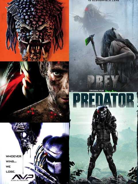 铁血战士系列5部合集 The Predator  4K蓝光REMUX[免费在线观看][夸克网盘]