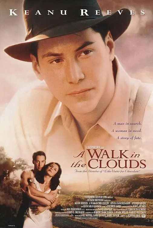 云中漫步 A Walk in the Clouds (1995)[免费在线观看][夸克网盘]