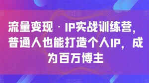 流量变现·IP实战训练营，普通人也能打造个人IP，成为百万博主[免费在线观看][夸克网盘]