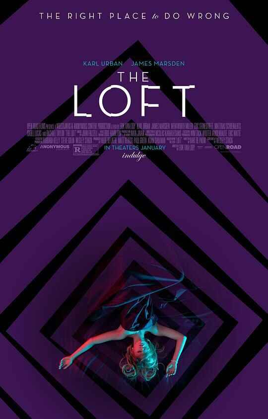 阁楼 The Loft 1080p Remux (2014) [免费在线观看][夸克网盘]