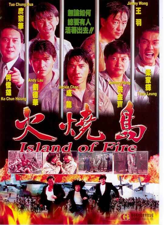 火烧岛 火燒島 1080p Remux (1990) （成龙 刘德华 梁家辉 柯俊雄）[免费在线观看][夸克网盘]