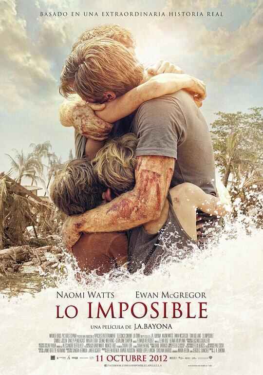 海啸奇迹 Lo imposible 1080p Remux (2012)[免费在线观看][夸克网盘]