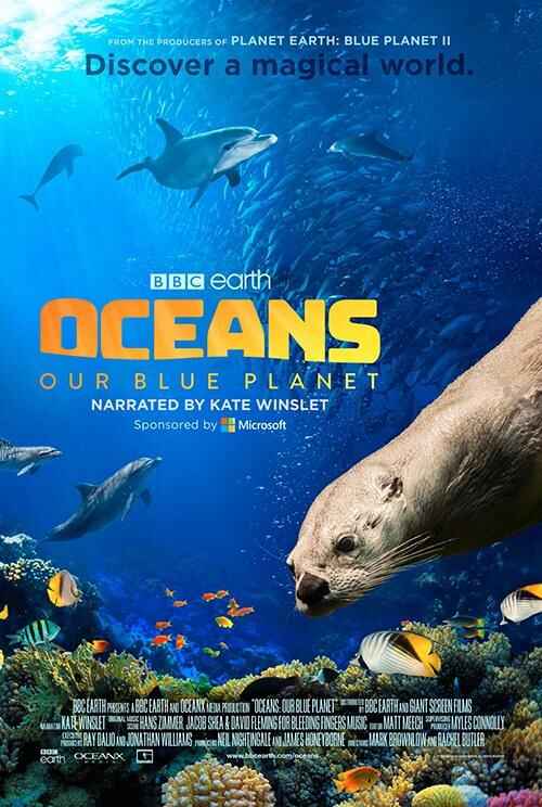 海洋：我们的蓝色星球 Oceans: Our Blue Planet 2160p Remux (2018) [免费在线观看][夸克网盘]