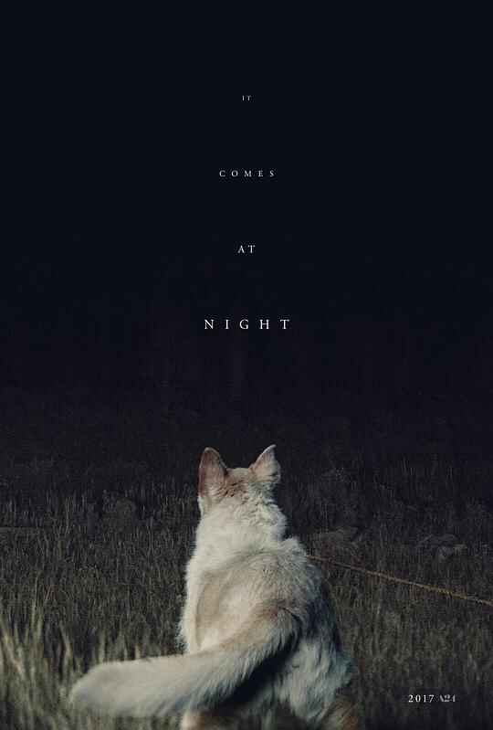 黑夜造访 It Comes at Night 1080p Remux (2017)[免费在线观看][夸克网盘]