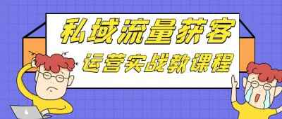 私域流量获客运营实战教课程[免费在线观看][夸克网盘]