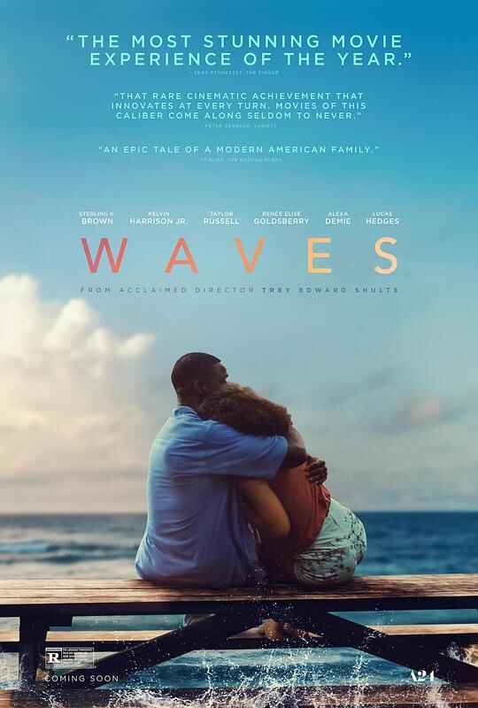 浪潮 Waves 1080p Remux (2019)[免费在线观看][夸克网盘]