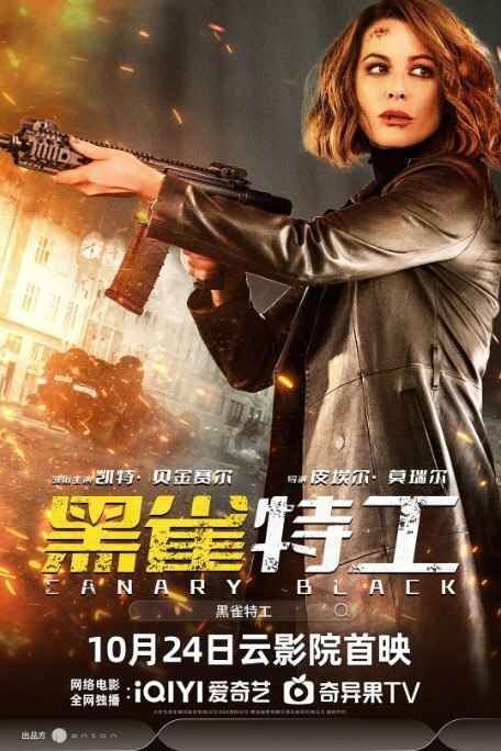 黑雀特工 (2024) 4K SDR 中字外挂字幕[免费在线观看][免费下载][夸克网盘]