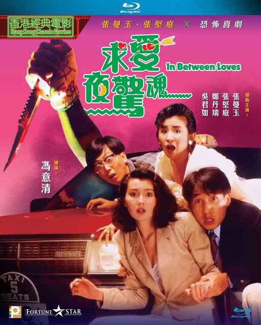 香港电影《求爱夜惊魂》 (1989)（张曼玉）[免费在线观看][夸克网盘]