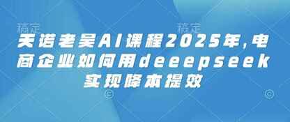 2025天诺老吴AI课程，电商企业如何用deeepseek实现降本提效[免费在线观看][夸克网盘]