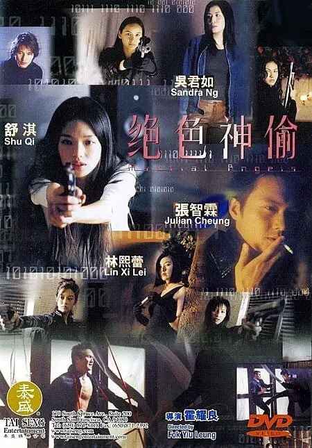 香港电影《绝色神偷》(2001) 张智霖 舒淇[免费在线观看][夸克网盘]