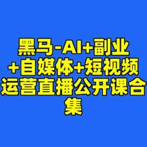 黑马-AI+副业+自媒体+短视频运营直播公开课合集[免费在线观看][夸克网盘]