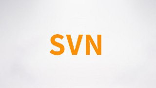 【尚硅谷】SVN视频 - 带源码课件[免费在线观看][夸克网盘]