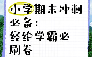 经纶学霸《2025春小学学霸期末必刷卷·语数英》[免费在线观看][夸克网盘]