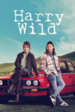 野探哈莉 第四季 Harry Wild (2025) 爱尔兰 双语硬字幕 开播首更1集[免费在线观看][夸克网盘]