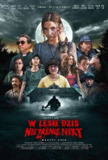 今夜林中无人入睡 W lesie dziś nie zaśnie nikt (2020)[免费在线观看][夸克网盘]
