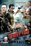 铁腕行动 (2013)[免费在线观看][夸克网盘]