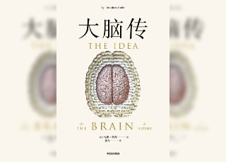【解读系列】《大脑传》(持续更新)[免费在线观看][夸克网盘]